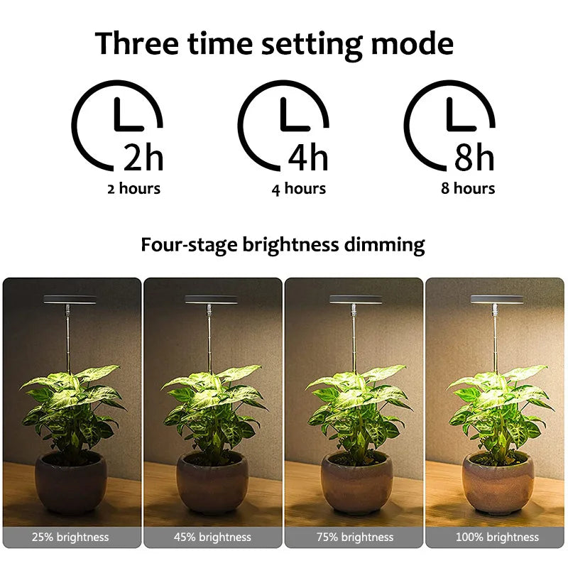 Plant Light