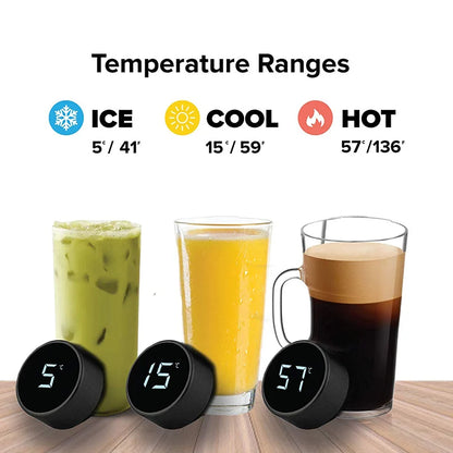 Temperature Display Water Bottle